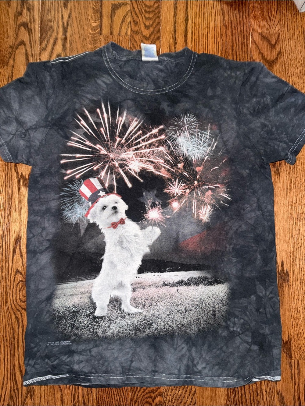 Gildan Black Tie-Dye Tee with Patriotic Fireworks Dog Graphic